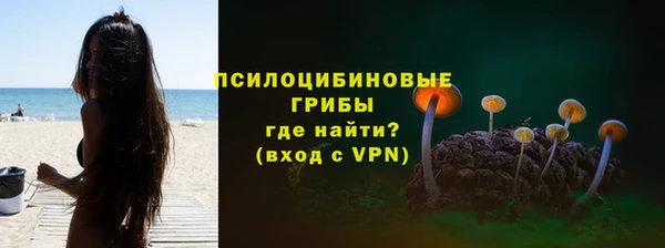 PSILOCYBIN Баксан