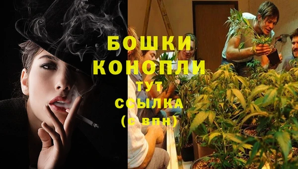 PSILOCYBIN Баксан